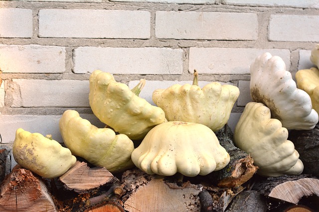 Zátiší s patisony