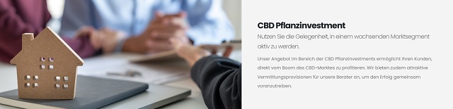 market-cbd-saffran-valuefactory-plan
